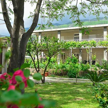 Apartmani Mihovic - Jaz Budva Zewnętrze zdjęcie